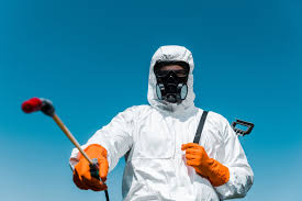 Lawn Pest Control in Haynesville, LA